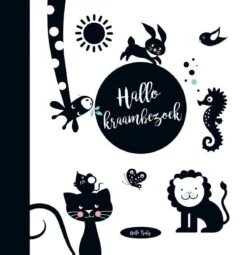 Hello - Baby's Eerste Jaar -Babyproducten 1164x1200