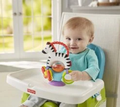 Fisher Price - Activity Zebra - Rammelaar - Speeltje En Bijtring - Grijpspeelgoed -Babyproducten 1200x1064
