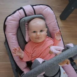 Baninni Wipstoel Admiro Roze-Grijs 29 Baninni Wipstoel Admiro Roze-Grijs -Babyproducten 1200x1200 1033