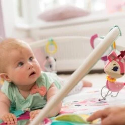 Tiny Love Deluxe Babygym - Princess Tales - Roze -Babyproducten 1200x1200 45