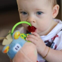 Playgro Clip Clop Rammelaar - Blauw - Activiteitenspeeltje - Kraamkado -Babyproducten 1200x1200 82