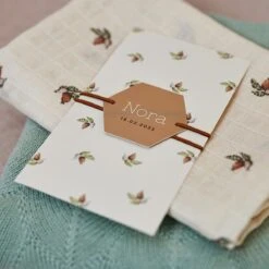 Jollein Hydrofiele Doek Small 70x70cm - Rosehip - 3 Stuks -Babyproducten 1200x1200 873