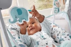 Fisher Price Fisher-Price Pacific Pebble Wipstoel - Draagbaar Schommelstoeltje -Babyproducten 1200x800 224