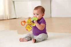 VTech Baby Brul & Speel Rammelaar - Educatief Babyspeelgoed - Bijtring - 3 Tot 24 Maanden 10 VTech Baby Brul & Speel Rammelaar - Educatief Babyspeelgoed - Bijtring - 3 Tot 24 Maanden -Babyproducten 1200x801 1