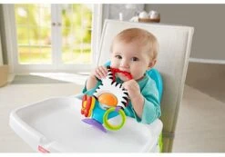 Fisher Price - Activity Zebra - Rammelaar - Speeltje En Bijtring - Grijpspeelgoed -Babyproducten 1200x842
