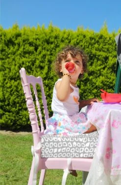 Babyjem Booster Chair Grey -Babyproducten 789x1200 3