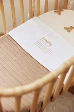 Jollein Baby Hoeslaken Jersey 40/50x80/90cm - Teddy Bear -Babyproducten 800x1200 209