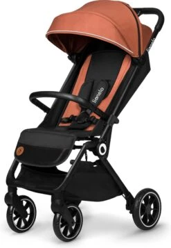 Lionelo Buggy Cloe - Kinderwagen Premium + - Tot 22 Kg - Verstelbare Rugleuning - 5-punts Veiligheidsgordels - Grote Zwenkwielen - Klamboe - Bekerhouder - Lichtgewicht - Compact - Waterdicht -Babyproducten 830x1200 1