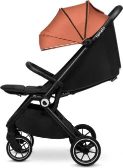 Lionelo Buggy Cloe - Kinderwagen Premium + - Tot 22 Kg - Verstelbare Rugleuning - 5-punts Veiligheidsgordels - Grote Zwenkwielen - Klamboe - Bekerhouder - Lichtgewicht - Compact - Waterdicht -Babyproducten 877x1200