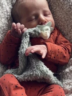 Louka Speendoekje Driehoek Teddy Groen - Teddy Katoen - Speenknuffel - Excl. Bibs Speen -Babyproducten 900x1200 29