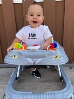 Hibaby Inklapbare Loopstoel Met Speelset – Mint 22 Hibaby Inklapbare Loopstoel Met Speelset – Mint -Babyproducten 902x1200 3