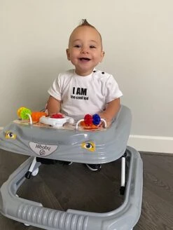 Hibaby Inklapbare Loopstoel Met Speelset – Mint 27 Hibaby Inklapbare Loopstoel Met Speelset – Mint -Babyproducten 905x1200 4