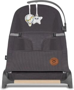 Lionelo June - Babyschommel - Tot 9 Kg - 3-punts Veiligheidsgordels - Lichtgewicht 21 Lionelo June - Babyschommel - Tot 9 Kg - 3-punts Veiligheidsgordels - Lichtgewicht -Babyproducten 989x1200 7